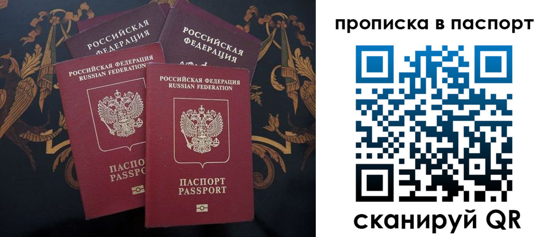 прописка паспорт в Владимирской области